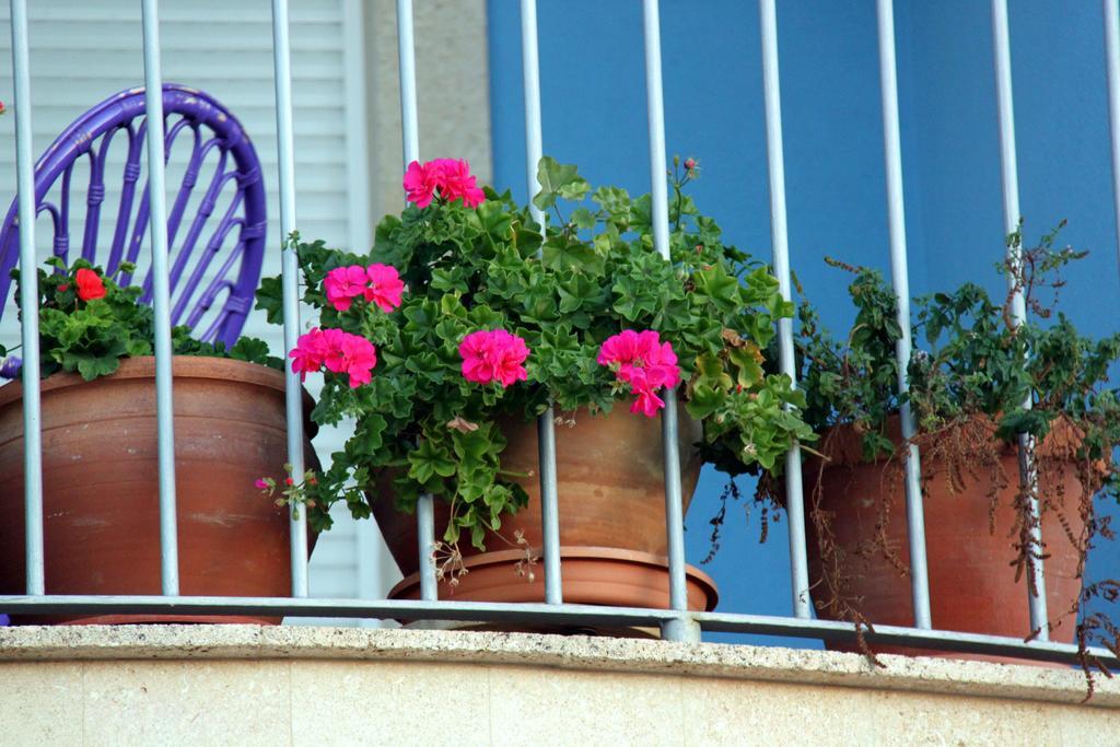 Гостьовий будинок Casa Laureana Руідера Екстер'єр фото